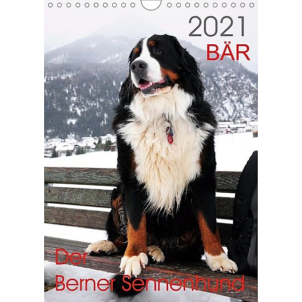 BÄR - Der Berner Sennenhund (Wandkalender 2021 DIN A4 hoch), Sonja Brenner