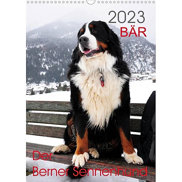 BÄR - Der Berner Sennenhund (Wandkalender 2023 DIN A3 hoch), Sonja Brenner