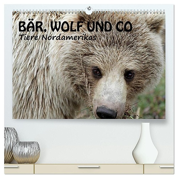 Bär, Wolf und Co - Tiere Nordamerikas (hochwertiger Premium Wandkalender 2024 DIN A2 quer), Kunstdruck in Hochglanz, Ursula Salzmann
