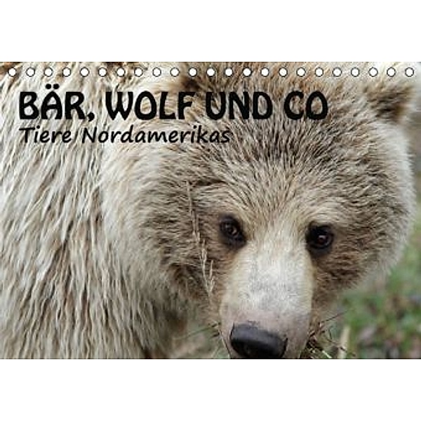 Bär, Wolf und Co - Tiere Nordamerikas (Tischkalender 2015 DIN A5 quer), Ursula Salzmann
