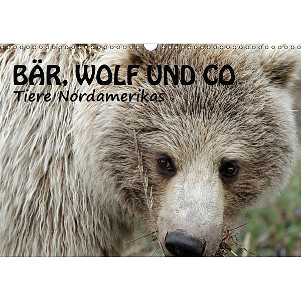 Bär, Wolf und Co - Tiere Nordamerikas (Wandkalender 2018 DIN A3 quer), Ursula Salzmann