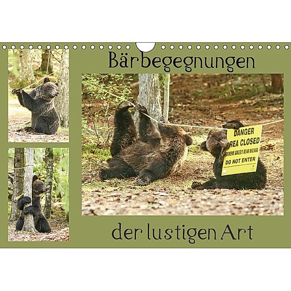 Bärbegegnungen der lustigen Art (Wandkalender 2018 DIN A4 quer), Ursula Salzmann