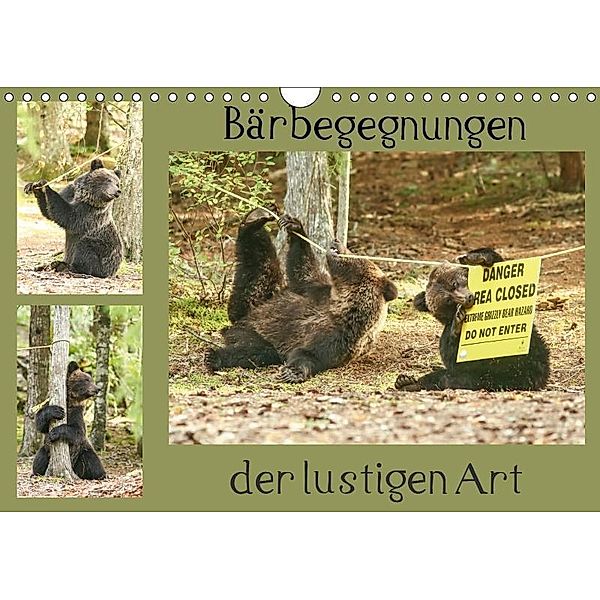 Bärbegegnungen der lustigen Art (Wandkalender 2019 DIN A4 quer), Ursula Salzmann