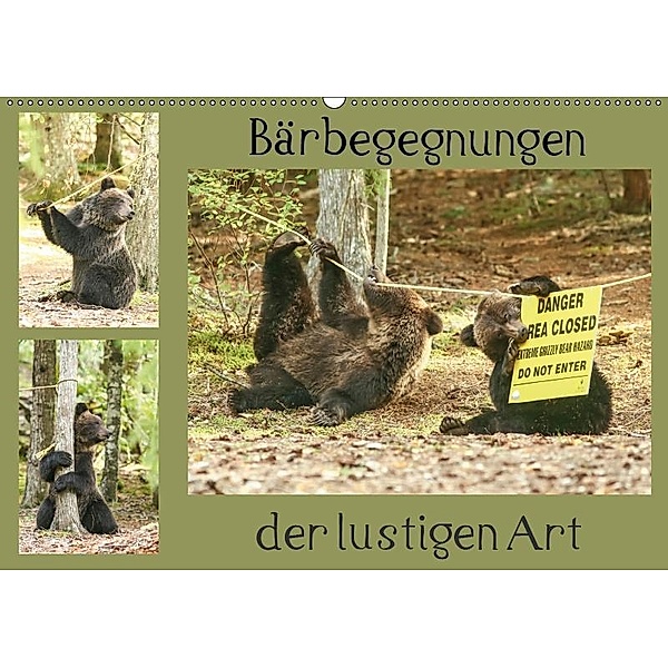 Bärbegegnungen der lustigen Art (Wandkalender 2019 DIN A2 quer), Ursula Salzmann