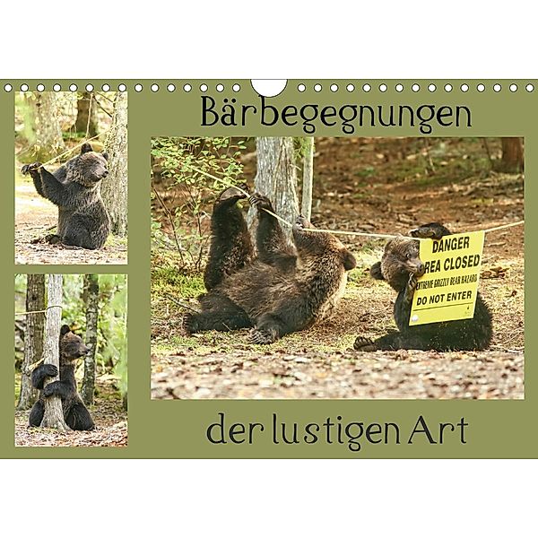 Bärbegegnungen der lustigen Art (Wandkalender 2021 DIN A4 quer), Ursula Salzmann