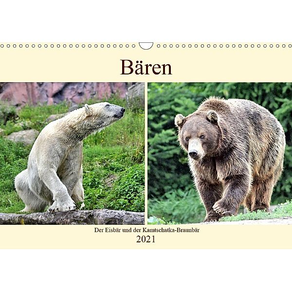 Bären - Der Eisbär und der Kamtschatka-Braunbär (Wandkalender 2021 DIN A3 quer), Arno Klatt