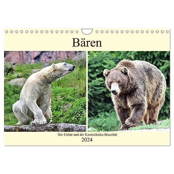 Bären - Der Eisbär und der Kamtschatka-Braunbär (Wandkalender 2024 DIN A4 quer), CALVENDO Monatskalender, Arno Klatt