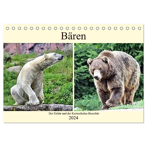 Bären - Der Eisbär und der Kamtschatka-Braunbär (Tischkalender 2024 DIN A5 quer), CALVENDO Monatskalender, Arno Klatt