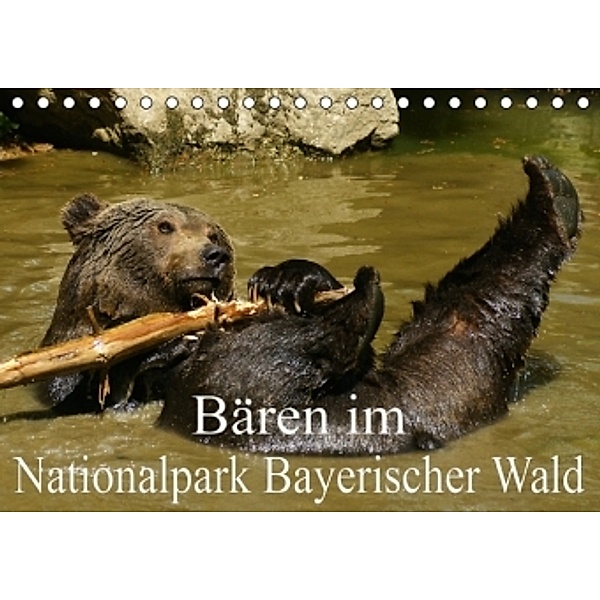 Bären im Nationalpark Bayerischer Wald (Tischkalender 2016 DIN A5 quer), Erika Müller
