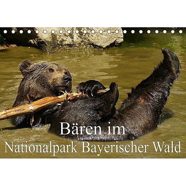 Bären im Nationalpark Bayerischer Wald (Tischkalender 2017 DIN A5 quer), Erika Müller