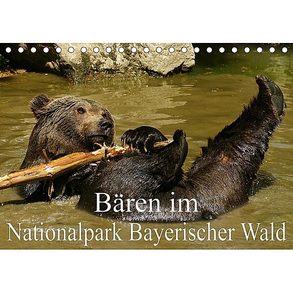 Bären im Nationalpark Bayerischer Wald (Tischkalender 2021 DIN A5 quer), Erika Müller