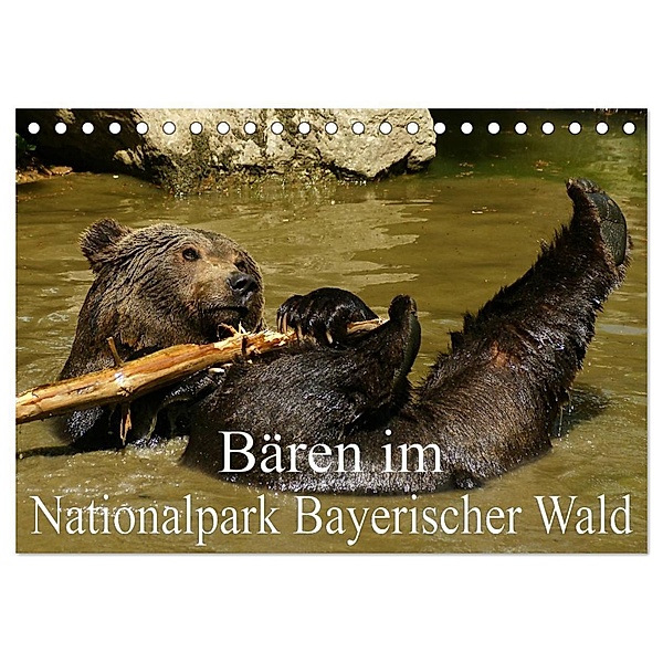Bären im Nationalpark Bayerischer Wald (Tischkalender 2024 DIN A5 quer), CALVENDO Monatskalender, Erika Müller
