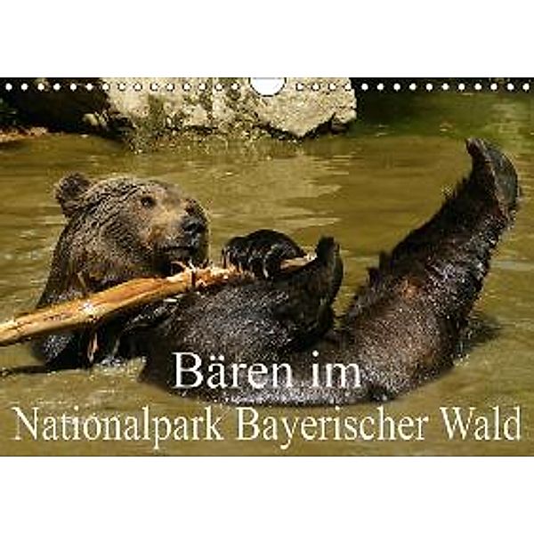 Bären im Nationalpark Bayerischer Wald (Wandkalender 2015 DIN A4 quer), Erika Müller