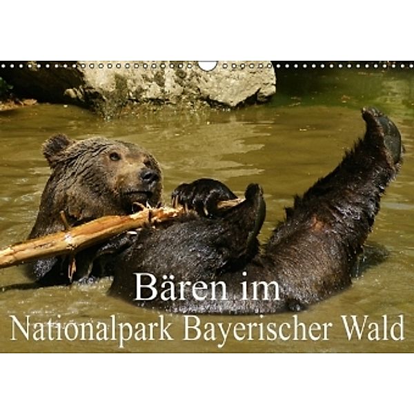 Bären im Nationalpark Bayerischer Wald (Wandkalender 2016 DIN A3 quer), Erika Müller