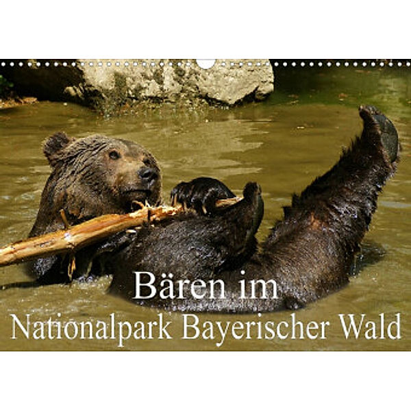 Bären im Nationalpark Bayerischer Wald (Wandkalender 2022 DIN A3 quer), Erika Müller