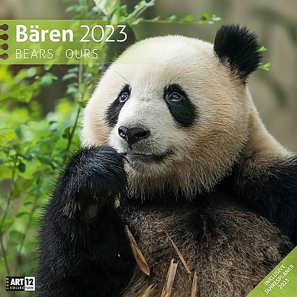 Bären Kalender 2023 - 30x30, Ackermann Kunstverlag