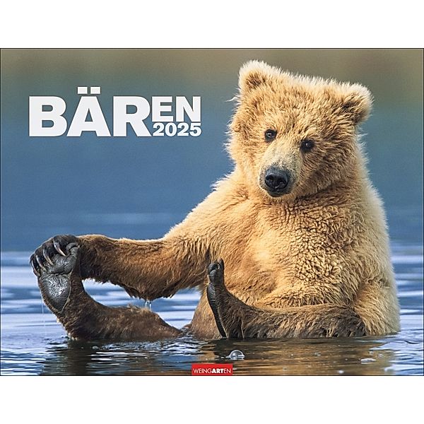 Bären Kalender 2025