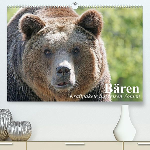 Bären. Kraftpakete auf leisen Sohlen (Premium, hochwertiger DIN A2 Wandkalender 2023, Kunstdruck in Hochglanz), Elisabeth Stanzer