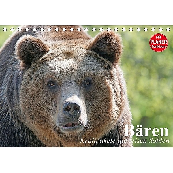 Bären. Kraftpakete auf leisen Sohlen (Tischkalender 2018 DIN A5 quer), Elisabeth Stanzer