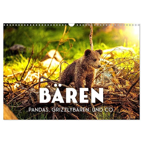 Bären - Pandas, Grizzlybären und Co. (Wandkalender 2024 DIN A3 quer), CALVENDO Monatskalender, SF