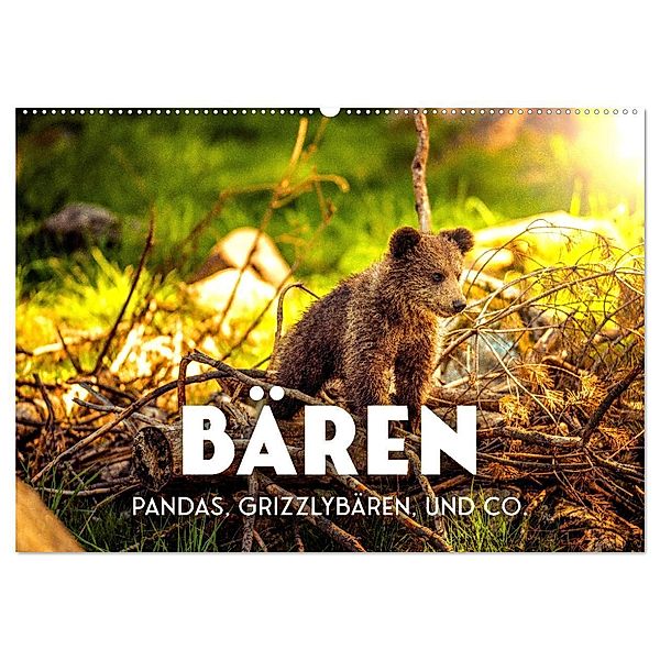 Bären - Pandas, Grizzlybären und Co. (Wandkalender 2024 DIN A2 quer), CALVENDO Monatskalender, SF