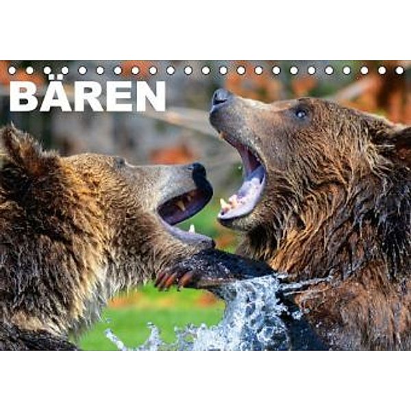 Bären (Tischkalender 2016 DIN A5 quer), Elisabeth Stanzer