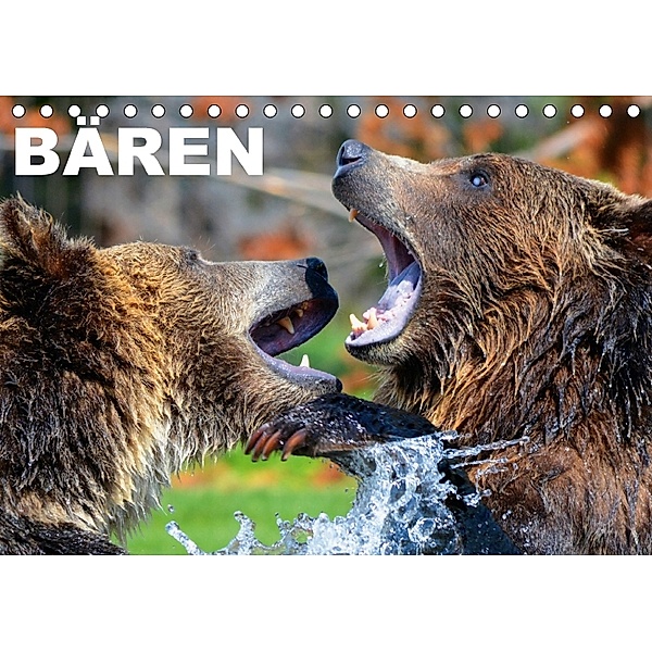Bären (Tischkalender 2018 DIN A5 quer), Elisabeth Stanzer