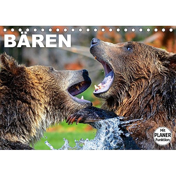 Bären (Tischkalender 2020 DIN A5 quer), Elisabeth Stanzer