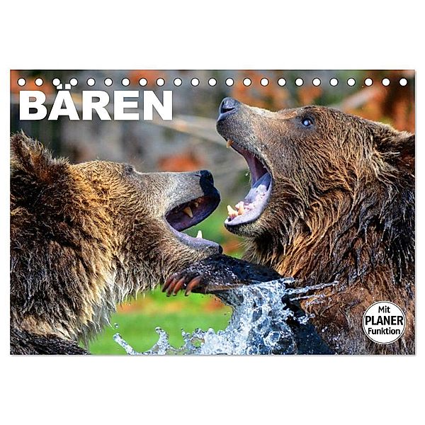 Bären (Tischkalender 2024 DIN A5 quer), CALVENDO Monatskalender, Elisabeth Stanzer