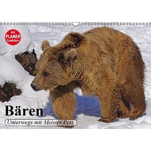 Bären. Unterwegs mit Meister Petz (Wandkalender 2016 DIN A3 quer), Elisabeth Stanzer