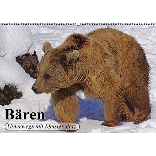 Bären. Unterwegs mit Meister Petz (Wandkalender 2016 DIN A2 quer), Elisabeth Stanzer