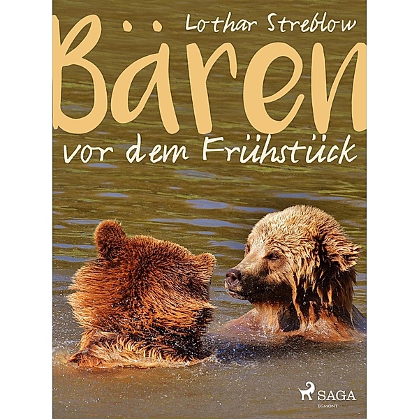 Bären vor dem Frühstück - Erzählungen, Lothar Streblow