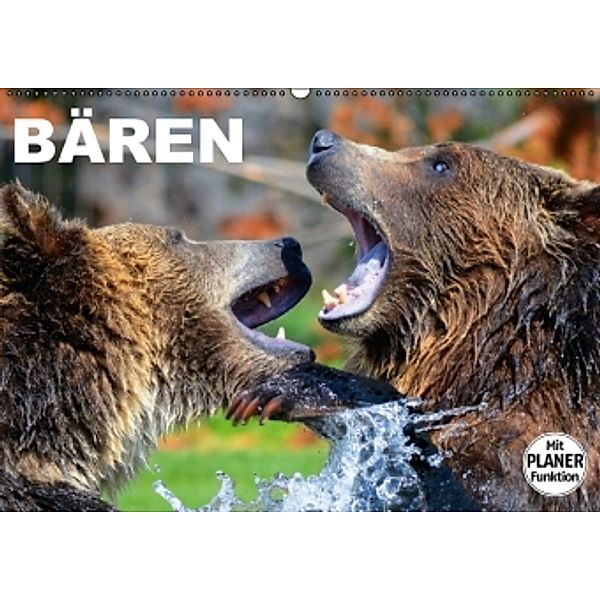 Bären (Wandkalender 2016 DIN A2 quer), Elisabeth Stanzer