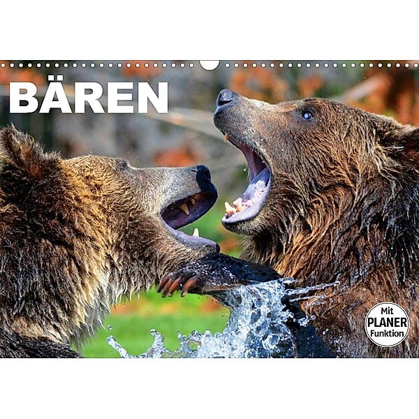 Bären (Wandkalender 2023 DIN A3 quer), Elisabeth Stanzer