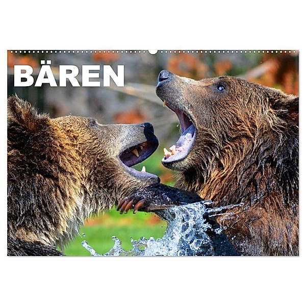 Bären (Wandkalender 2024 DIN A2 quer), CALVENDO Monatskalender, Elisabeth Stanzer