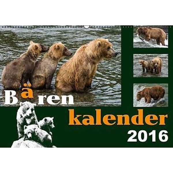 Bärenkalender (Wandkalender 2016 DIN A2 quer), Max Steinwald