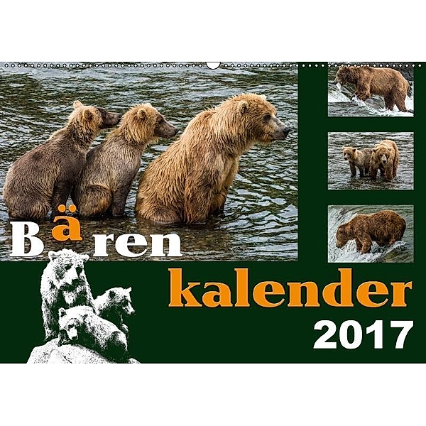 Bärenkalender (Wandkalender 2017 DIN A2 quer), Max Steinwald