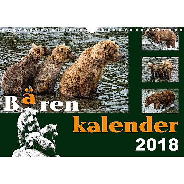 Bärenkalender (Wandkalender 2018 DIN A4 quer), Max Steinwald