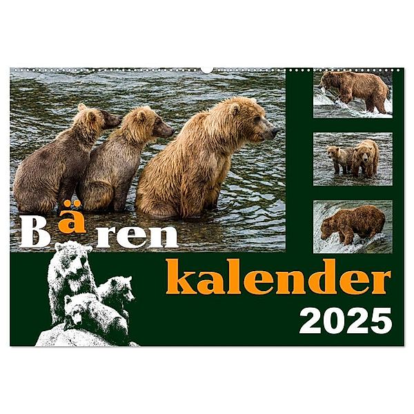 Bärenkalender (Wandkalender 2025 DIN A2 quer), CALVENDO Monatskalender, Calvendo, Max Steinwald