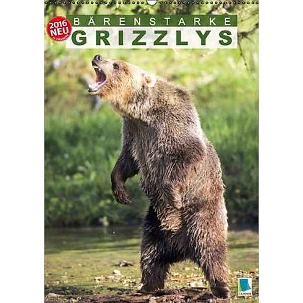 Bärenstarke Grizzlys (Wandkalender 2016 DIN A2 hoch), Calvendo