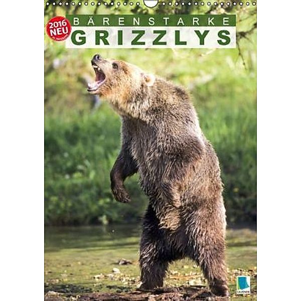 Bärenstarke Grizzlys (Wandkalender 2016 DIN A3 hoch), Calvendo