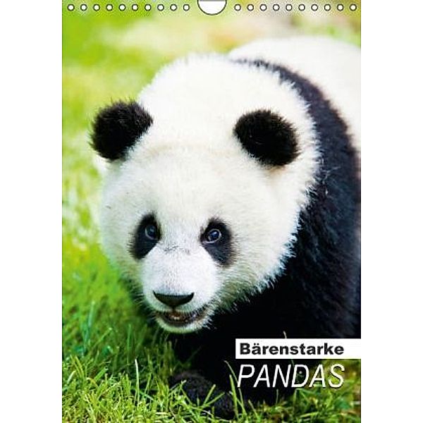 Bärenstarke Pandas (Wandkalender 2014 DIN A4 hoch), CALVENDO