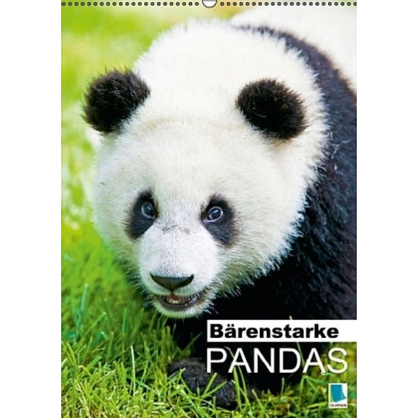 Bärenstarke Pandas (Wandkalender 2015 DIN A2 hoch), CALVENDO