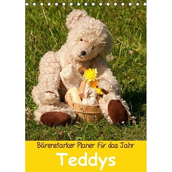 Bärenstarker Planer für das Jahr - Teddys (Tischkalender 2016 DIN A5 hoch), Meike Bölts