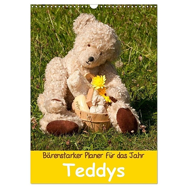 Bärenstarker Planer für das Jahr - Teddys (Wandkalender 2024 DIN A3 hoch), CALVENDO Monatskalender, Meike Bölts