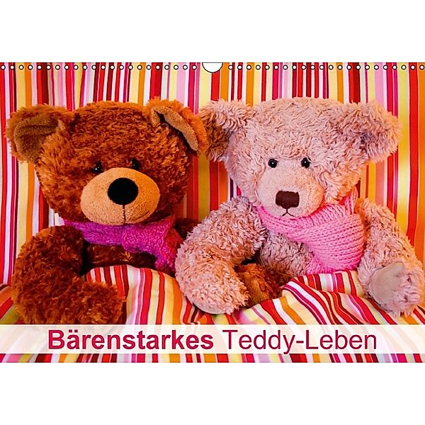 Bärenstarkes Teddy-Leben (Wandkalender 2014 DIN A3 quer)