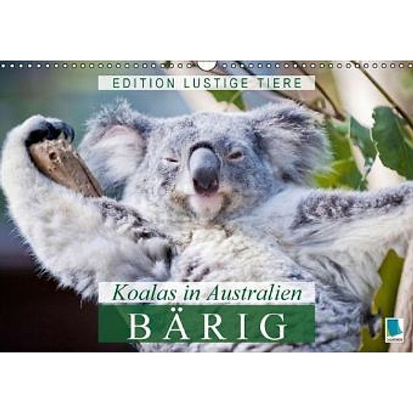 Bärig: Koalas in Australien - Edition lustige Tiere (Wandkalender 2015 DIN A3 quer), Calvendo