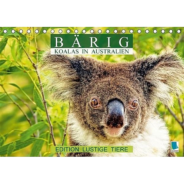 Bärig: Koalas in Australien - Edition lustige Tiere (Tischkalender 2016 DIN A5 quer), Calvendo