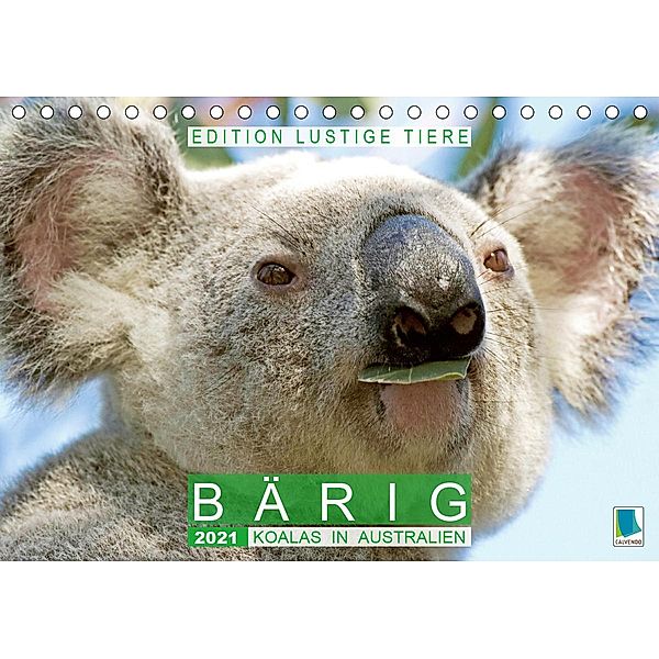 Bärig: Koalas in Australien - Edition lustige Tiere (Tischkalender 2021 DIN A5 quer), Calvendo