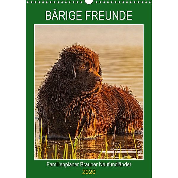 Bärige Freunde - Familienplaner Brauner Neufundländer (Wandkalender 2020 DIN A3 hoch), Sigrid Starick